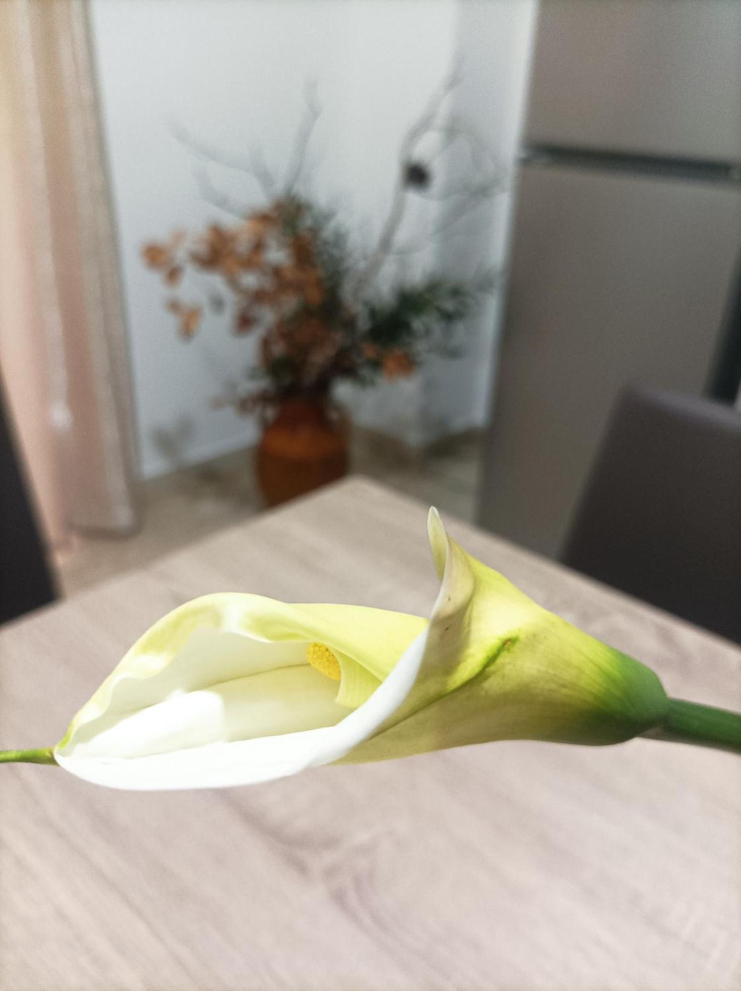 Apartmán L'Ulivo Massafra Exteriér fotografie